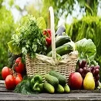 High Quality Organic Vegetables