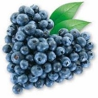 High Quality Blueberry