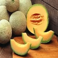 High Quality Melon