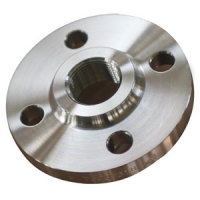 Titanium Flange