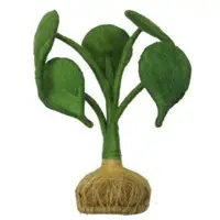 Coir Big Leaf Tree