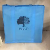 Non Woven Shopping Bag