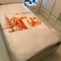 Polar Blanket Digital (christmas Pattern)