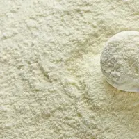 Milk Powder