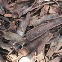 Cinnamon Sticks