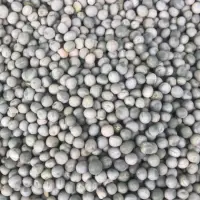 Cow Peas Marrow Fat Peas