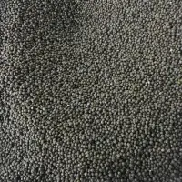 Mung Beans Green Beans