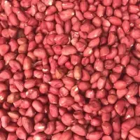 Peanuts