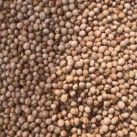 Pigeon Peas