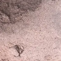 Sorghum Flour