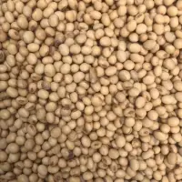 Soybeans