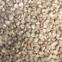 Maize White
