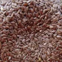 Flax Seeds
