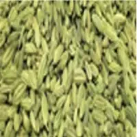 Fennel Seeds