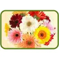 Fresh flowers