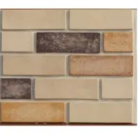 Inca Bricks