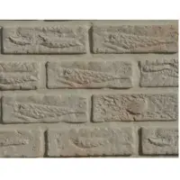 Jurassic Brick