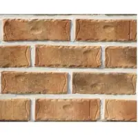 European Deluxe Bricks