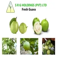 Guava