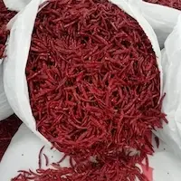 Red Chilli (S17 Teja)