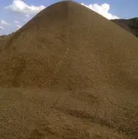 Palm Kernel Shell