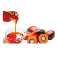 Crude Palm Oil