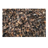 Palm Kernel Shell