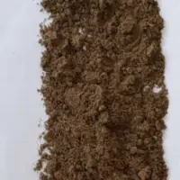 Rare Earth