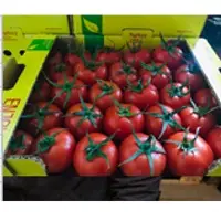 Tomato