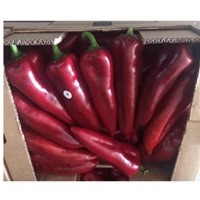 Red Pepper