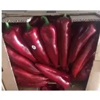 Red Pepper