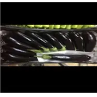 Eggplant