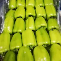 Bell Pepper
