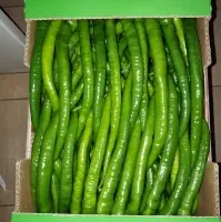 Chilli Pepper