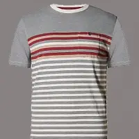 Striped Print T-Shirt