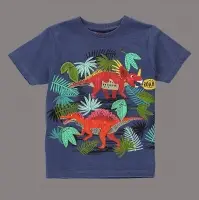 Boys Printed T-Shirt