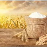 Wheat Flour