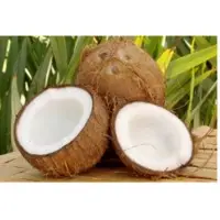 Fresh Coconut