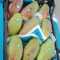 Mango Keet