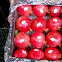 Pomegranate