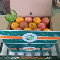 Fresh Valencia Orange
