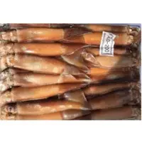 Frozen Squid For Bait (Argentine Illex )