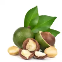 Macadamia Kernels