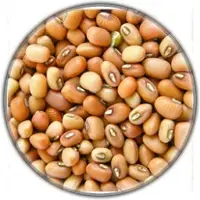 Pulses