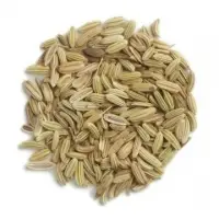 Fennel Seeds