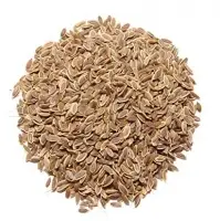 Dill Seeds