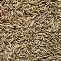 Cumin Seeds