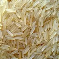 Sugandha Golden Sella Rice