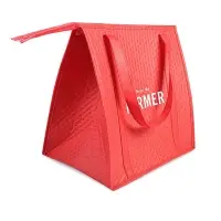 Insulated Non Woven Cooler Bag