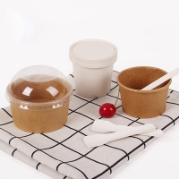 Disposable Ice Cream Paper Cup